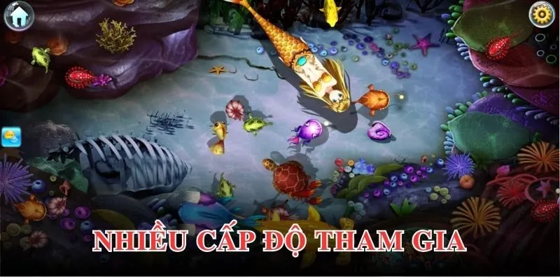 Sảnh game bắn cá với đa dạng cấp độ riêng biệt