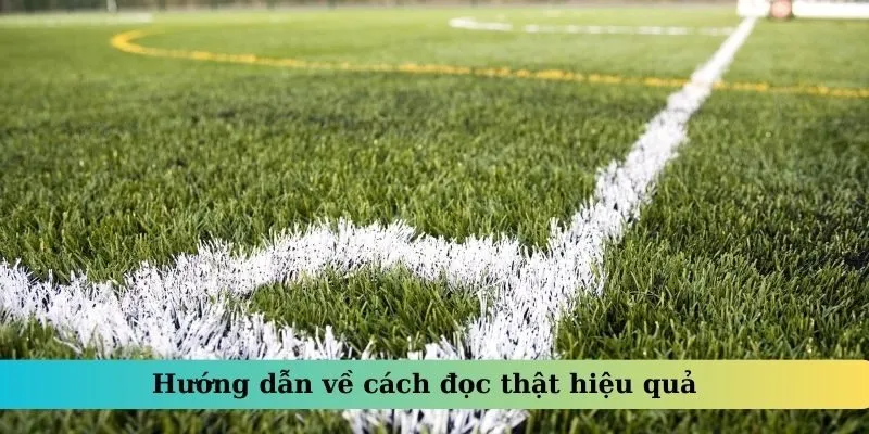 Hướng dẫn về cách đọc thật hiệu quả