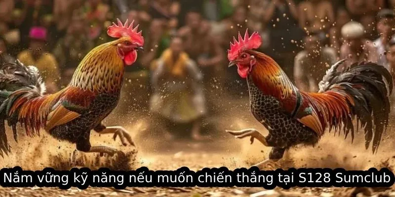 Nắm vững kỹ năng nếu muốn chiến thắng tại S128 Sumclub
