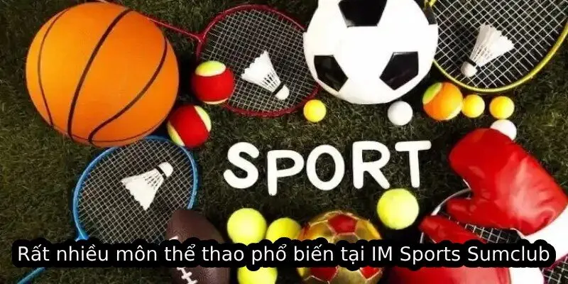 Rất nhiều môn thể thao phổ biến tại IM Sports Sumclub
